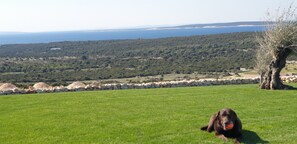 Área da propriedade