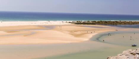 Plage | Plage à proximité