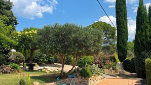 A garden with a dirt path, stone wall, and a blue chair.