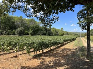 Property grounds - Le Mas Bello Visto Douceur de Vivre Entre mer et Verdon (Lorgues)
