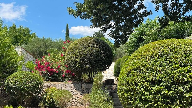 A garden with stone walls, various shrubs, and a clear blue sky.