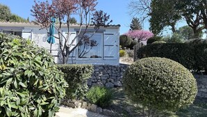 A house with a stone wall, a small garden with various plants, and a tree with pink flowers.