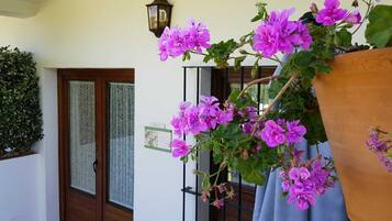 Details aan de buitenkant