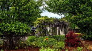 A garden with various plants and flowers, a tree, and a building in the background. - Historical John Rast House (Roseburg)