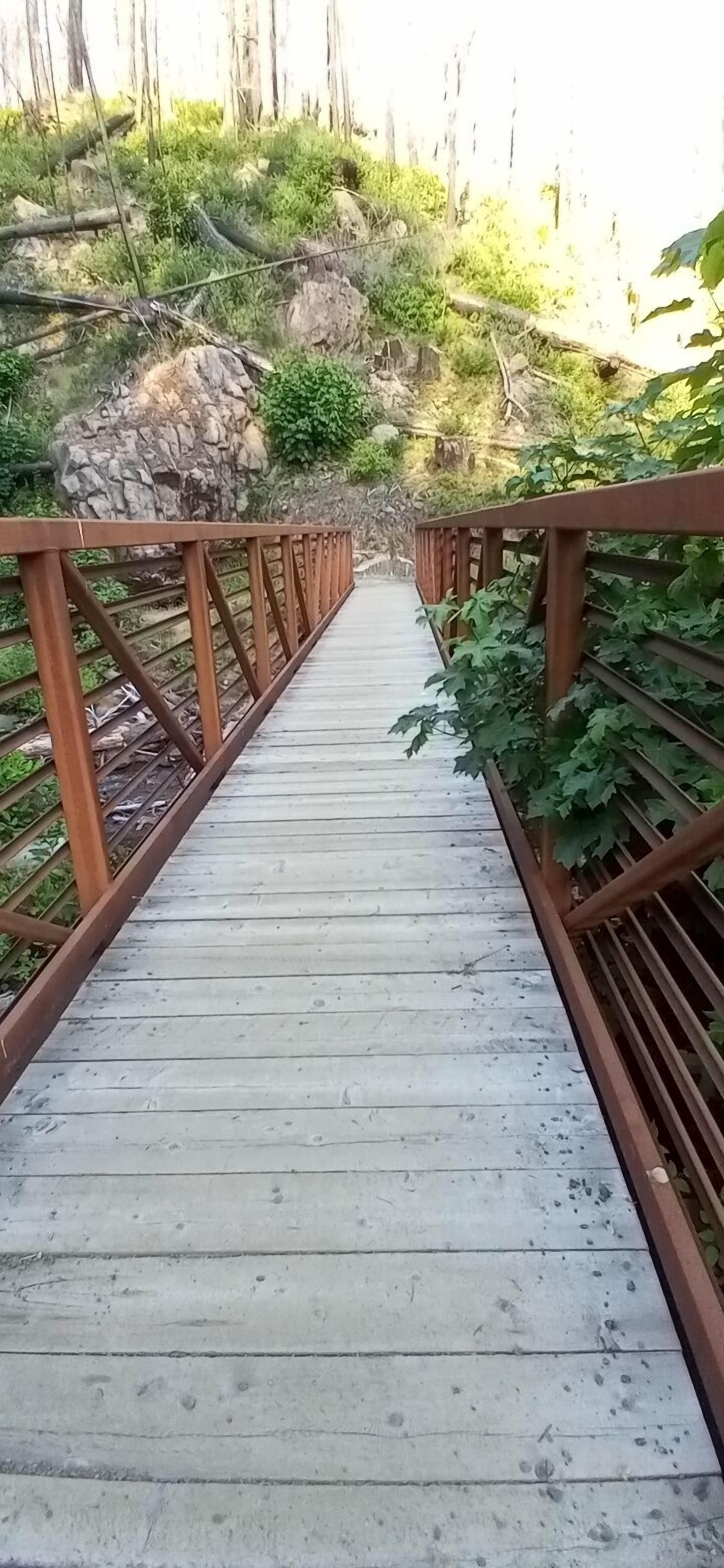 A wooden bridge with metal railings, surrounded by greenery and rocks.