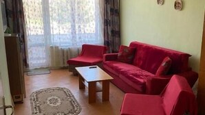 Olohuone, jossa on punainen sohvaryhmä, puinen sohvapöytä ja kuviollinen matto.