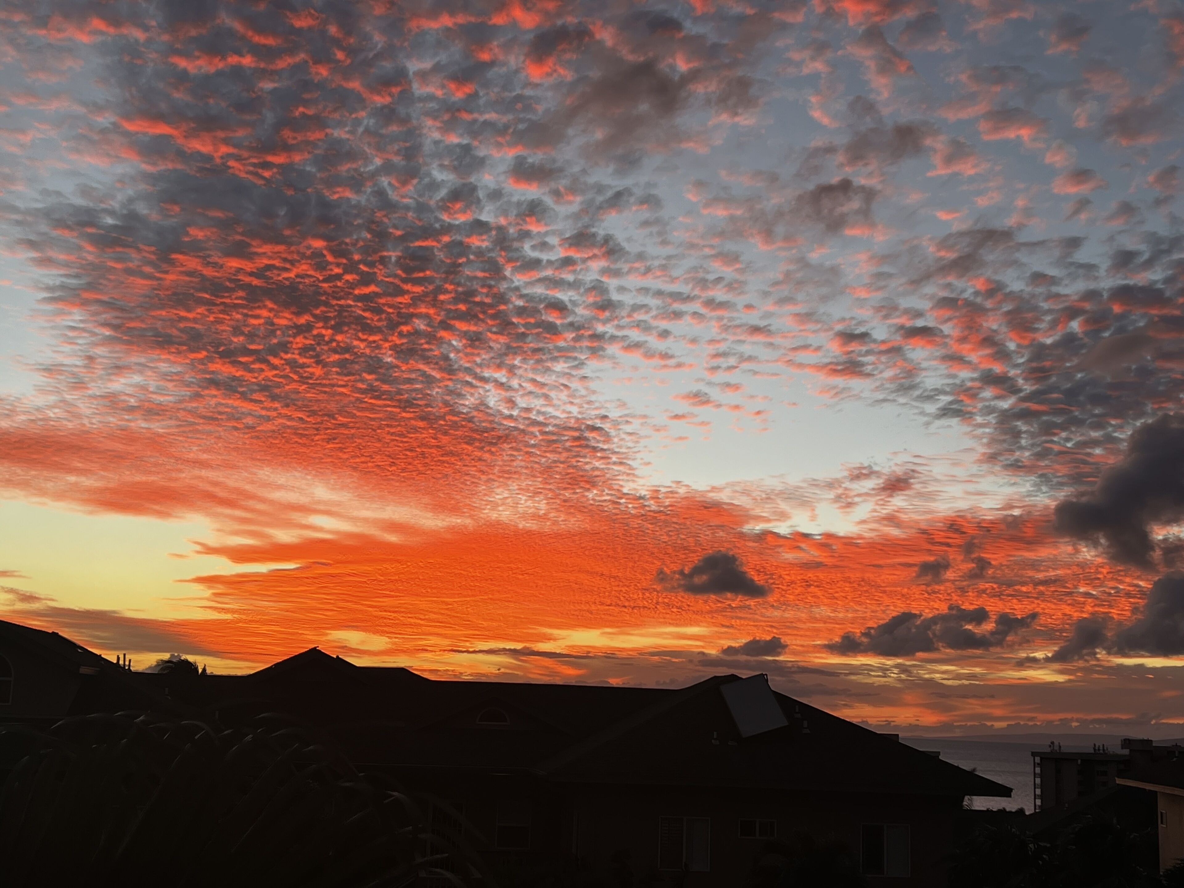 Whales and great reviews! Royal Kahana 2 Bd/2Ba! Hotel zoned Safe to Book!