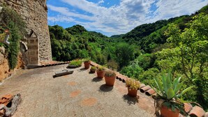 A courtyard with a stone wall, potted plants, and a view of a lush green valley. - Old ceramic factory close to Unesco itineraries (Sorano)
