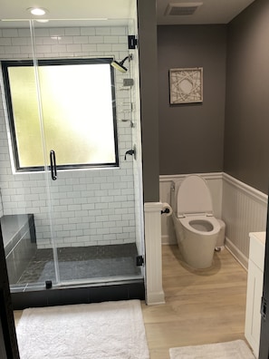 Shower, hair dryer, bidet, towels