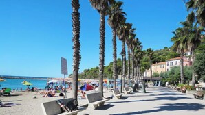 A beach with palm trees, benches, and a clear blue sky. - Casa Mia 4 by Interhome (San Lorenzo al Mare)