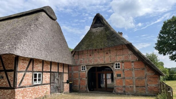 A traditional thatched-roof house with a brick exterior and a large arched doorway. - Reethuus by Interhome (Sandbostel)