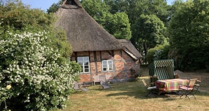 Reethuus by Interhome