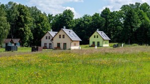 A row of three houses with sloped roofs, set in a grassy field with trees in the background.