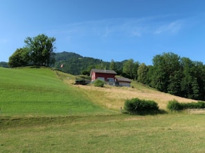 Área da propriedade