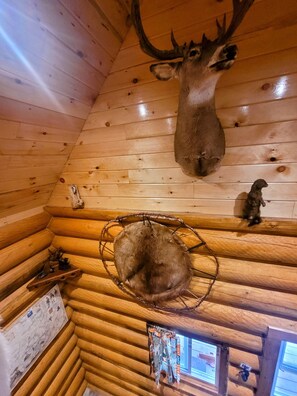 Interior - Site 15 Trapper Glamping Bunkie Small Urban Farm (Kenora)