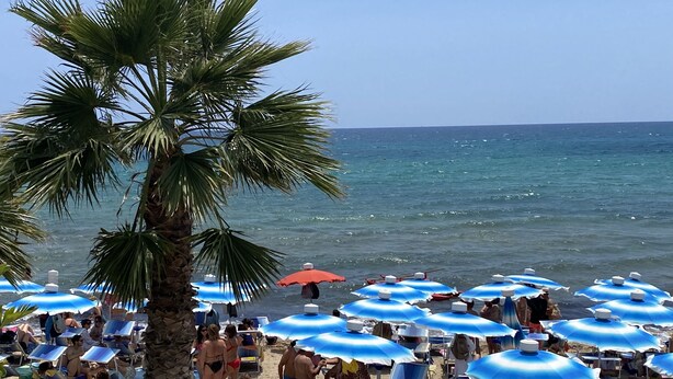 Una playa con numerosas sombrillas azules y sillas de playa, palmeras y gente disfrutando del mar.