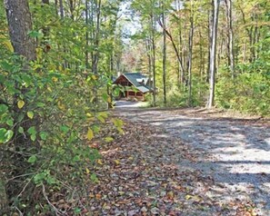 Eine Hütte im Wald, verbunden durch einen Schotterweg.