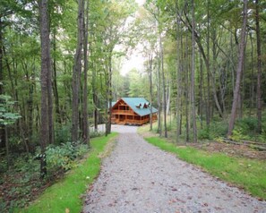 Eine Holzhütte im Wald, ein Kiesweg führt dorthin.