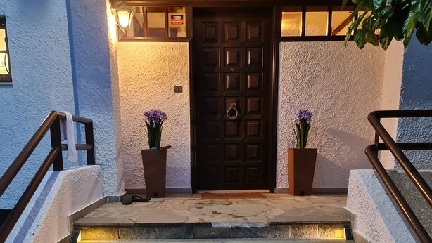 A set of stone steps leading to a dark wooden door, flanked by two potted plants with purple flowers. - Romantic traditional Villa with huge garden, swimming pool, basketball court etc (Avlonas)