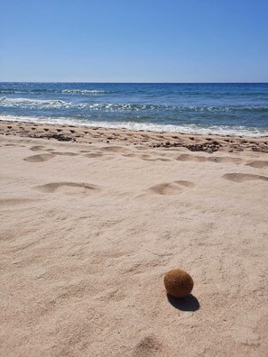 Beach - Flamingo New apartment in historic center (Cagliari)