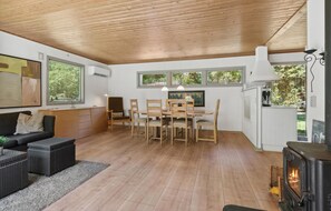 تلفزيون، مدفأة