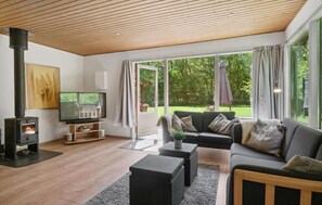 تلفزيون، مدفأة