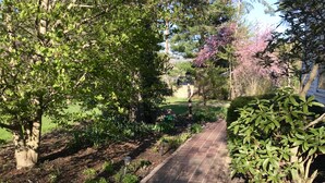 Un sendero de ladrillo en un jardín con árboles y arbustos.