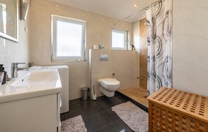 Shower, hair dryer
