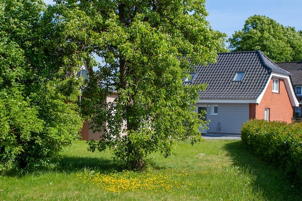 Blick vom hinteren Teil des Gartens auf das Haus.