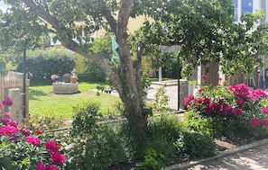 A garden with a lawn, a tree, and flowering plants. - Beautiful apartment in Bohus-Malmön (Bohus-Malmön)