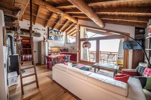 TV, fireplace, books