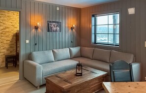 TV, fireplace, DVD player