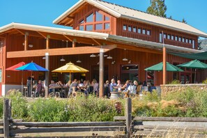 Outdoor dining - Cozy wine country home on 1 acre in town -walk to vineyards, restaurants, cafes (Boonville)