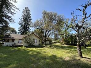 Property grounds - Cozy wine country home on 1 acre in town -walk to vineyards, restaurants, cafes (Boonville)