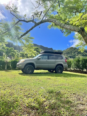 Overnattingsstedets uteområder