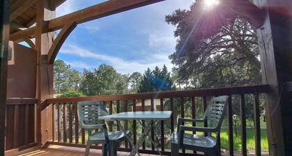 Studio near Contis beach