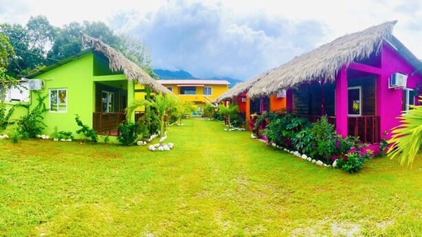 Una hilera de casas coloridas con tejados de paja, un sendero cubierto de césped y abundante vegetación.