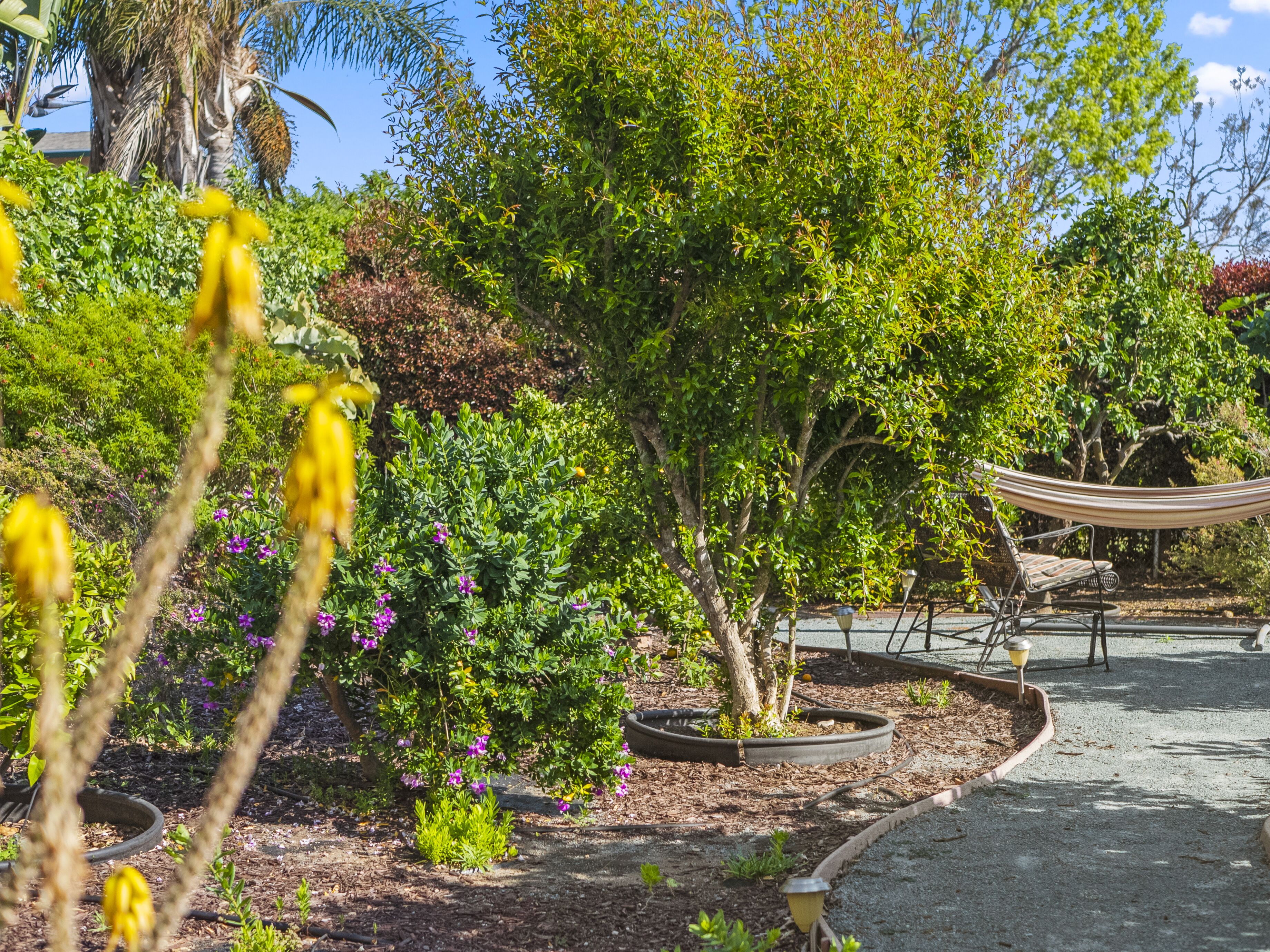 Terrein van de accommodatie