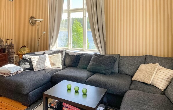 TV, fireplace, ping pong