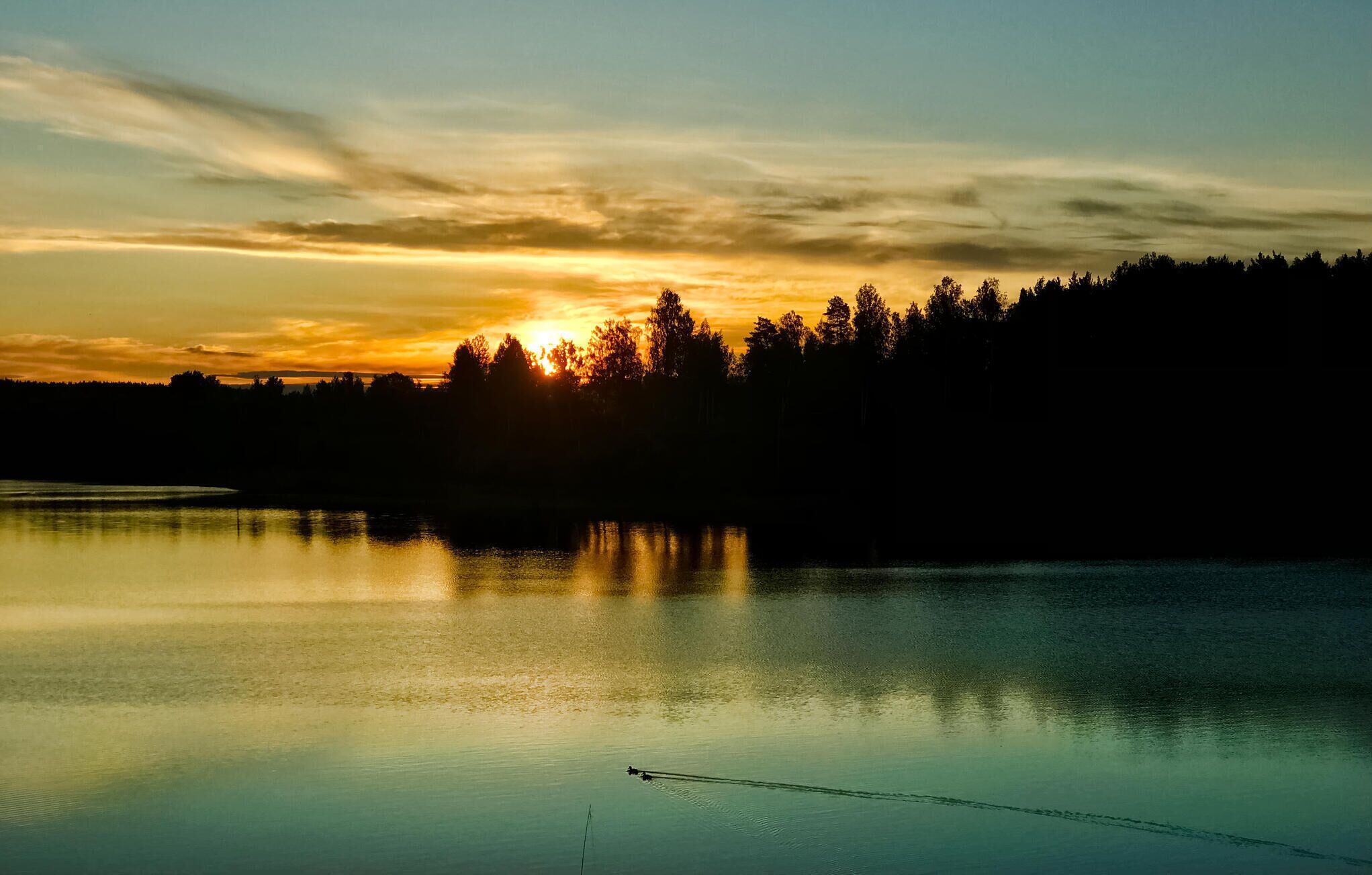 A calm lake at sunset with trees silhouetted against the sky.