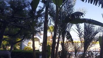 Terrein van de accommodatie