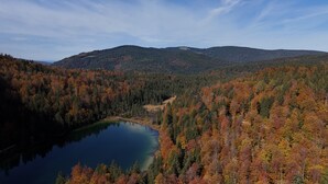 En sjö omgiven av tät skog med höstfärgat lövverk, kullar i bakgrunden och en klar himmel.