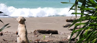 EcoHotel Bahía Terco