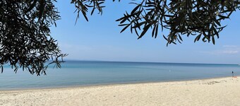 Cozy Dora's Beach House Offers Panoramic Views of Sea!