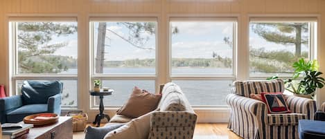 Smart TV, chimenea, reproductor de DVD y libros