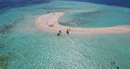 Komodo Pirate Boat - Phinisi Liveaboard
