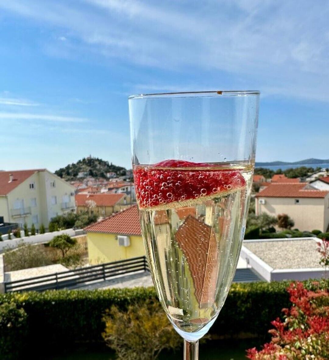 A glass of white wine with a red fruit garnish, set against a backdrop of a residential area with houses and a clear sky.