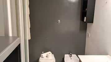 Ducha, artículos de tocador gratuitos, secador de pelo, bidet