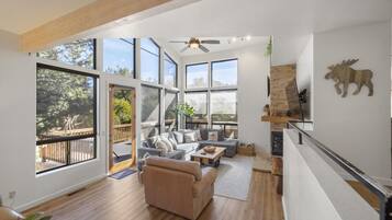 Smart TV, chimenea y estéreo