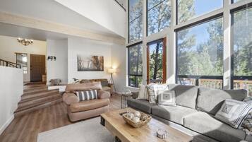 智能电视、壁炉、立体声音响